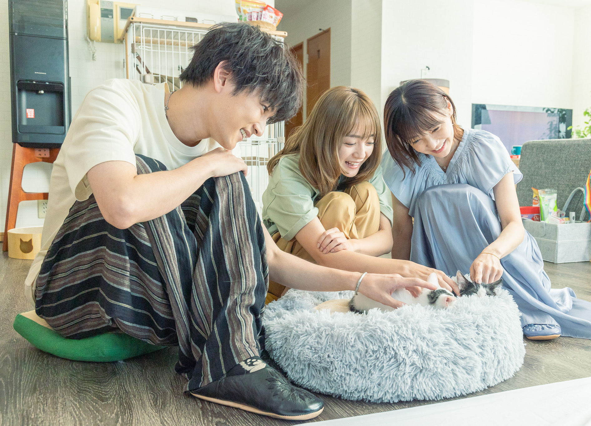 ねこ★ねこ映画上映会 「三日月とネコ」